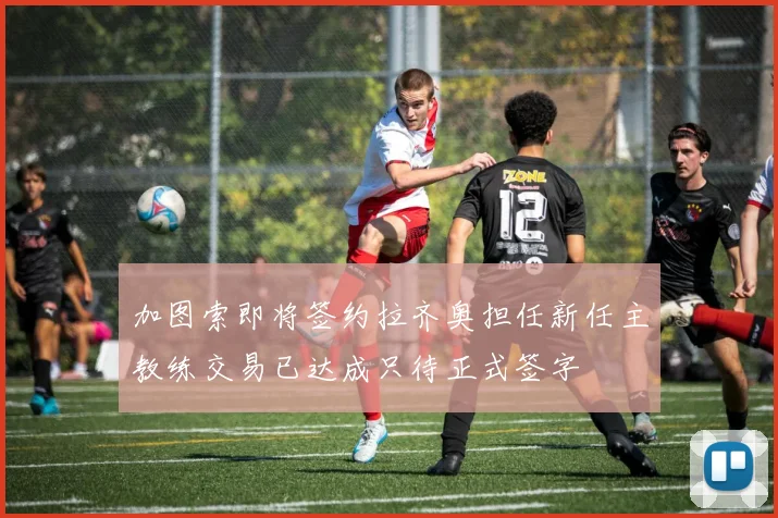 加图索即将签约拉齐奥担任新任主教练交易已达成只待正式签字